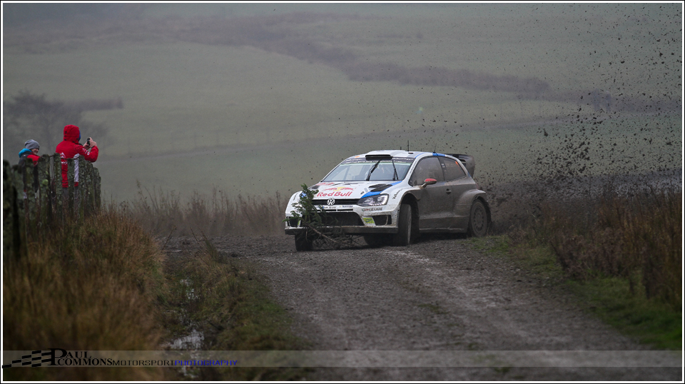 IMG_7980_LR_TRIM_SH_V1