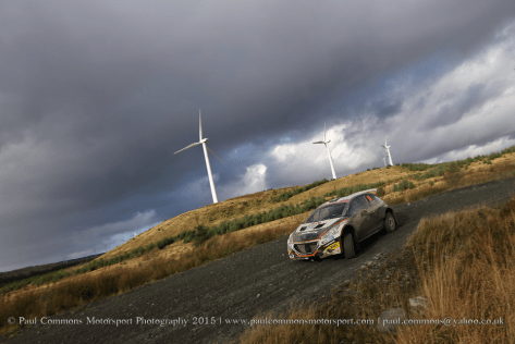 208R5_Myherin1_WRGB15